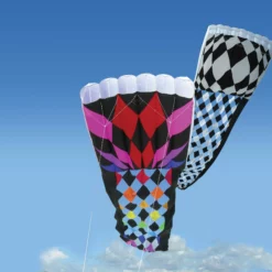 Collections Kites Rieleit Foil 20 Kite - Opt Art