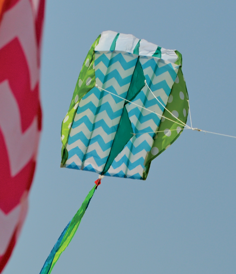 Kites Parafoil 2 Kite - Quirky Cool 5 Kites Parafoil 2 Kite - Quirky Cool