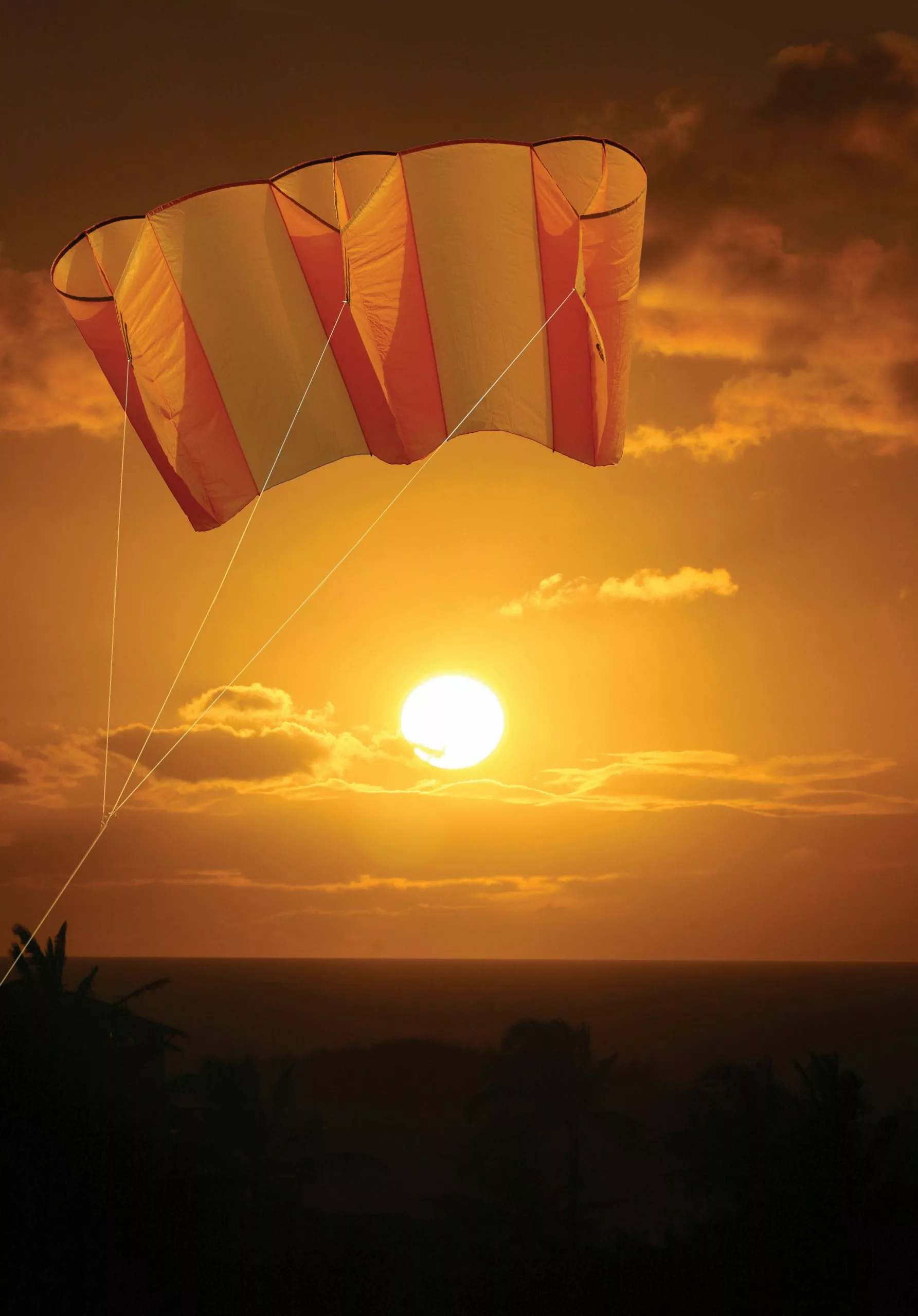 Collections Kites Jumbo Power Sled 36 Kite - Mango 4 Collections Kites Jumbo Power Sled 36 Kite - Mango