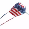 Kites Killip Foil Kite 20 - Patriotic 2 Kites Killip Foil Kite 20 - Patriotic