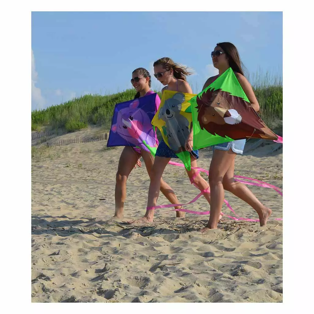 Kites 30 In. Diamond Kite - Riley Rhino 5 Kites 30 In. Diamond Kite - Riley Rhino