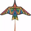 Bold Innovations Thunderbird Kites Thunderbird Kite - 60 In. Rainbow Geometric