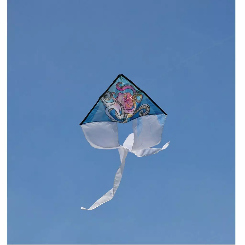 Kites Coloring Kite - Octopus 4 Kites Coloring Kite - Octopus