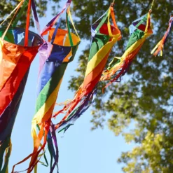 WindGarden 36 In. Spinsock - Rainbow WindGarden