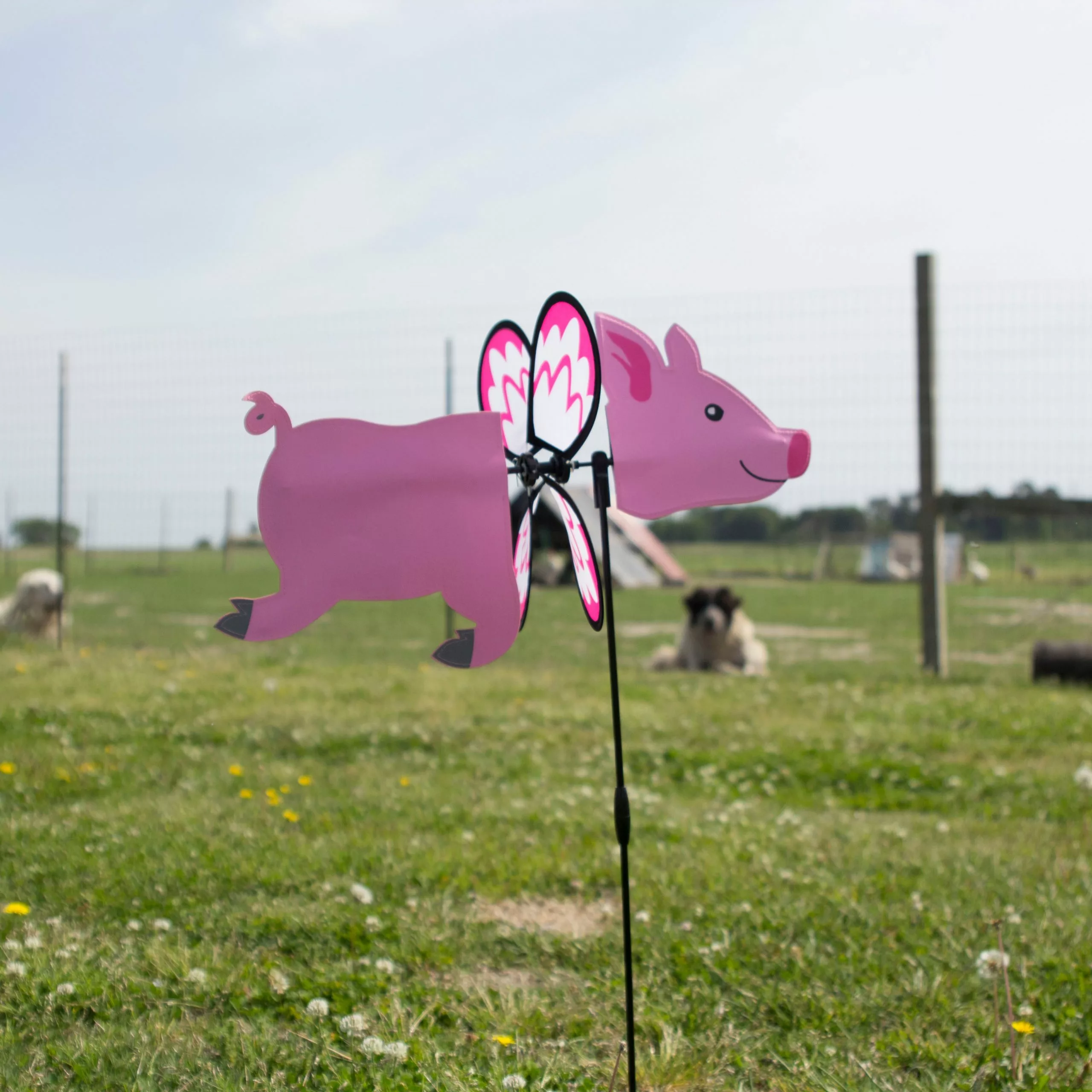 WindGarden WindGarden Petite Spinner - Pig 8 WindGarden WindGarden Petite Spinner - Pig