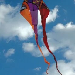 Collections Kites 13 Ft. Flo-tail Delta Kite - Warm Orbit