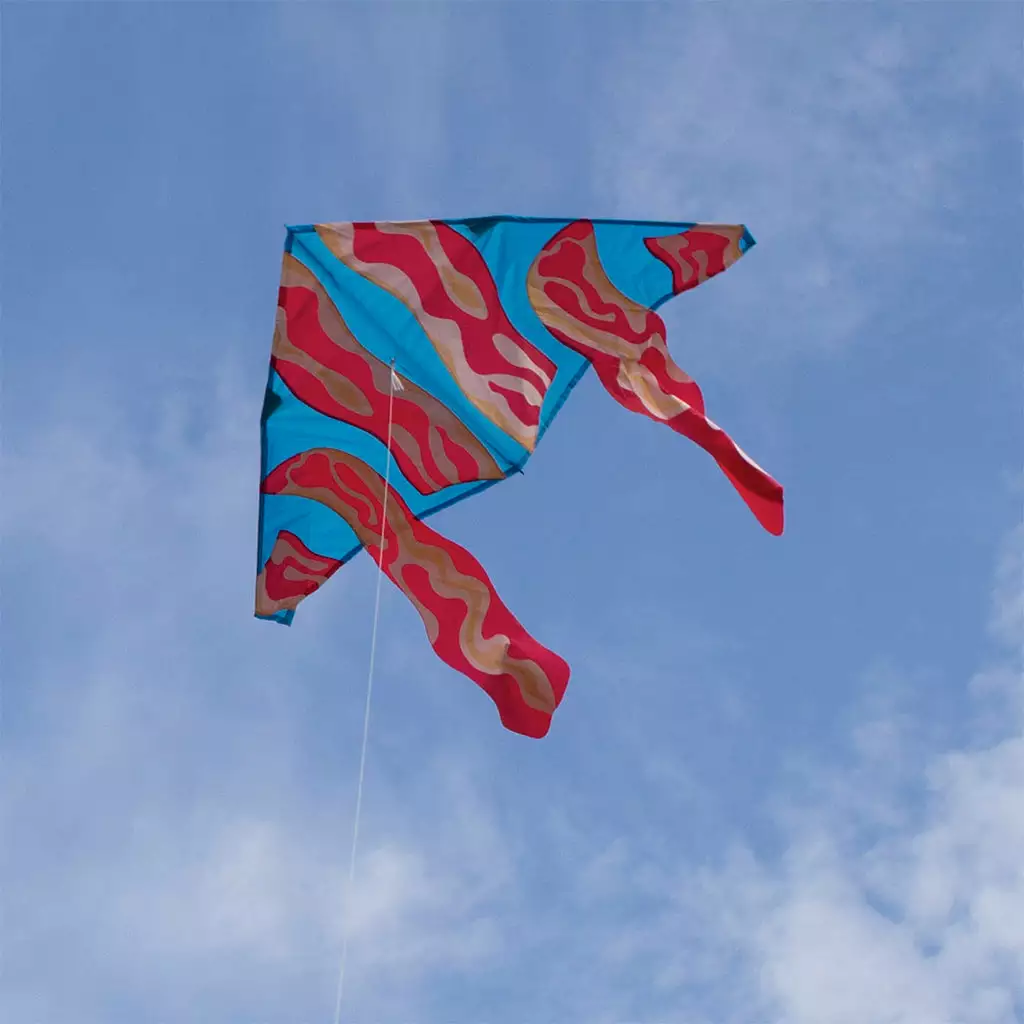 Kites 56 In. Delta Kite - Bacon Premier Kites 5 Kites 56 In. Delta Kite - Bacon Premier Kites