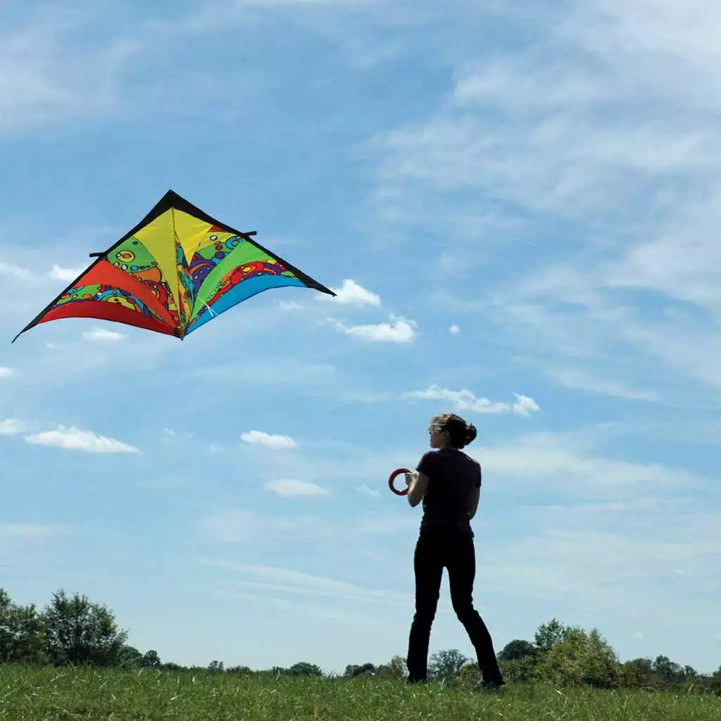Kites 9 Ft. Delta Kite - Rainbow Orbit Premier Kites 5 Kites 9 Ft. Delta Kite - Rainbow Orbit Premier Kites
