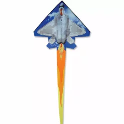 Kites 2D Jet Kite - F-22 Raptor Premier Kites