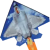Kites 2D Jet Kite - F-22 Raptor Premier Kites