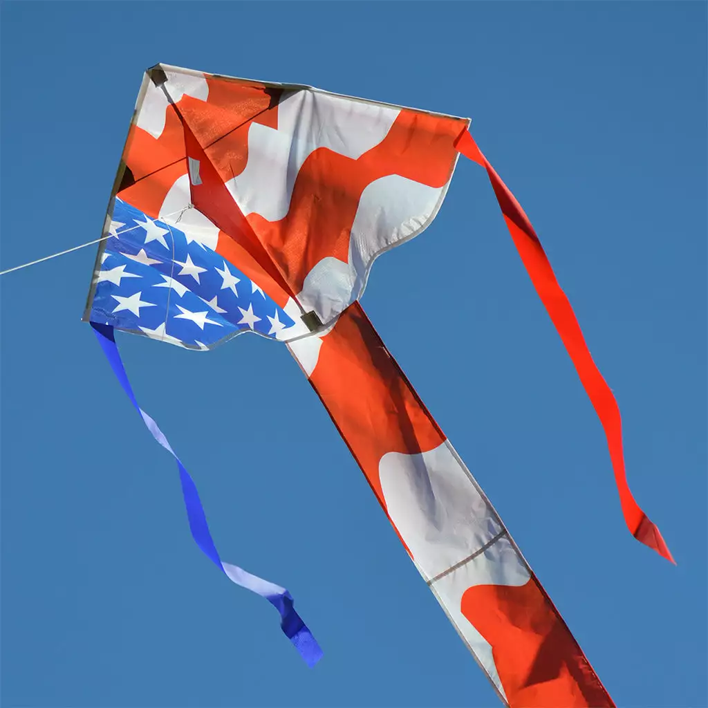 Kites Premier Kites Regular Easy Flyer Kite - Patriotic 5 Kites Premier Kites Regular Easy Flyer Kite - Patriotic