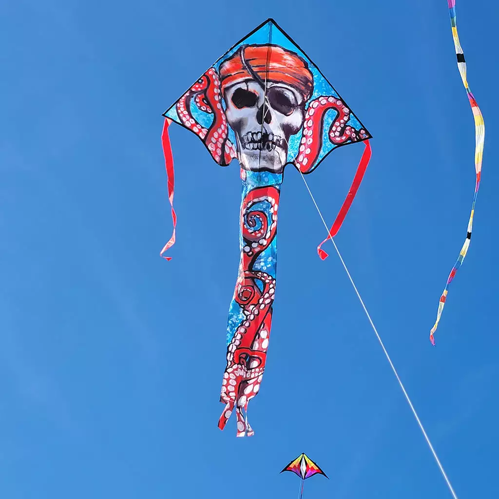 Kites Premier Kites Large Easy Flyer Kite - Pirate Octopus 5 Kites Premier Kites Large Easy Flyer Kite - Pirate Octopus