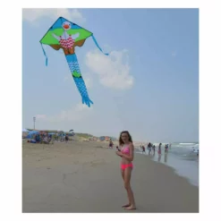 Kites Premier Kites Large Easy Flyer Kite - Wade Duck 7 Kites Premier Kites Large Easy Flyer Kite - Wade Duck