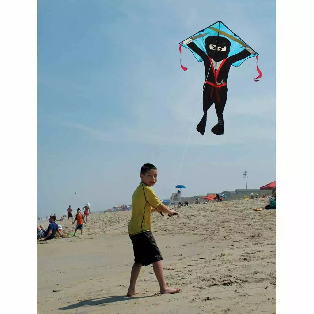 Kites Premier Kites Large Easy Flyer Kite - Flying Ninja 5 Kites Premier Kites Large Easy Flyer Kite - Flying Ninja