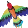 Kites Rainbow Bird Kite