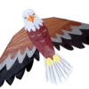 Kites Bald Eagle Kite