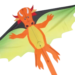 Kites Flying Dragon Kite