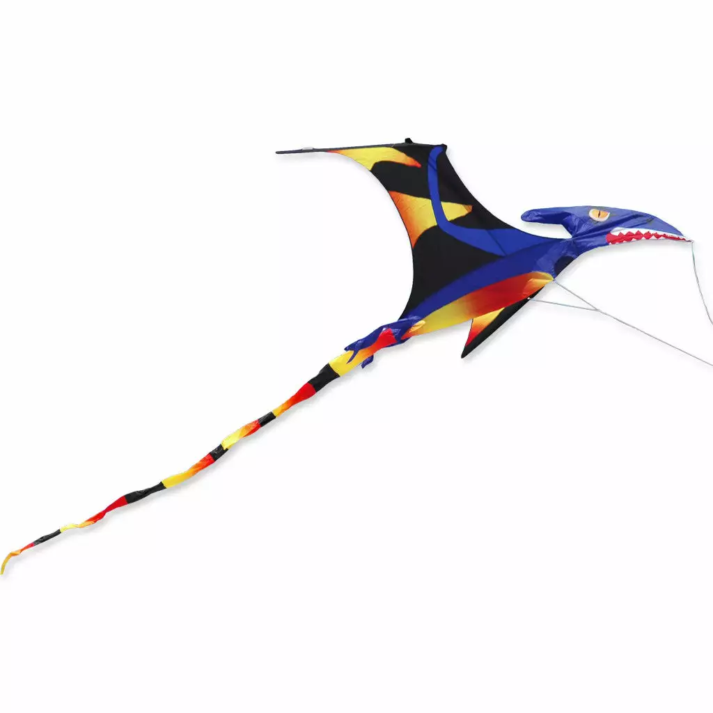 Collections Kites Pterodactyl Kite - Black Wing 3 Collections Kites Pterodactyl Kite - Black Wing