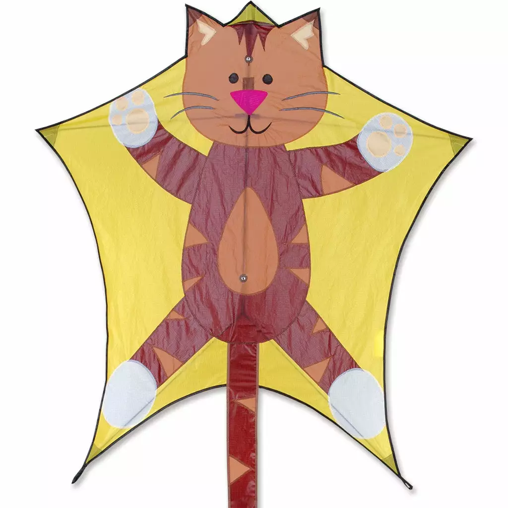 Kites Penta Kite - Tabby Premier Kites 3 Kites Penta Kite - Tabby Premier Kites