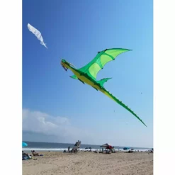 Collections Kites Giant Dragon Kite - Green