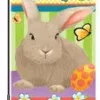 Accent Home & Garden 12 In. Flag - Hip Hop Bunny Accent
