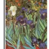 Accent Home & Garden 12 In. Flag - Van Gogh Irises