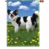 Accent Home & Garden 28 In. Flag - Panda The Chihuahua Accent 2 Accent Home & Garden 28 In. Flag - Panda The Chihuahua Accent