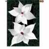 Accent Home & Garden - Sale Accent 28 In. Flag - Silver Poinsettia