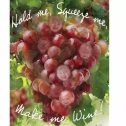 Accent Home & Garden - Sale 28 In. Flag - Make Me Wine Accent