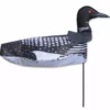 Premier Kites & Designs Windicator Weather Vane - Loon Windicator Weather Vanes
