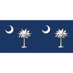 WindGarden WindGarden Windsock - South Carolina Flag