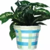 Accent Home & Garden - Sale Accent Flower Pot Cover - Cool Plaids