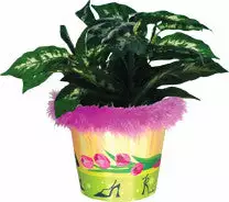 Accent Home & Garden - Sale Flower Pot Cover - Shopping Spree