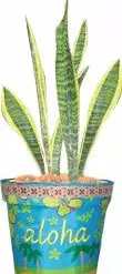 Accent Home & Garden - Sale Accent Flower Pot Cover - Waikiki Beach