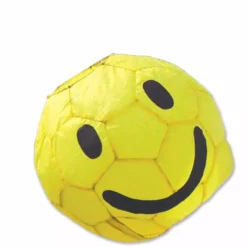 WindGarden 13 In. Smiley Ball W/ Wall Mount