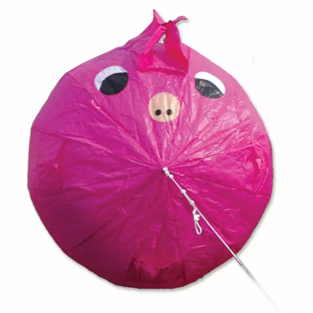 Collections Kites Collections Bouncing Ball - Pig 3 Collections Kites Collections Bouncing Ball - Pig