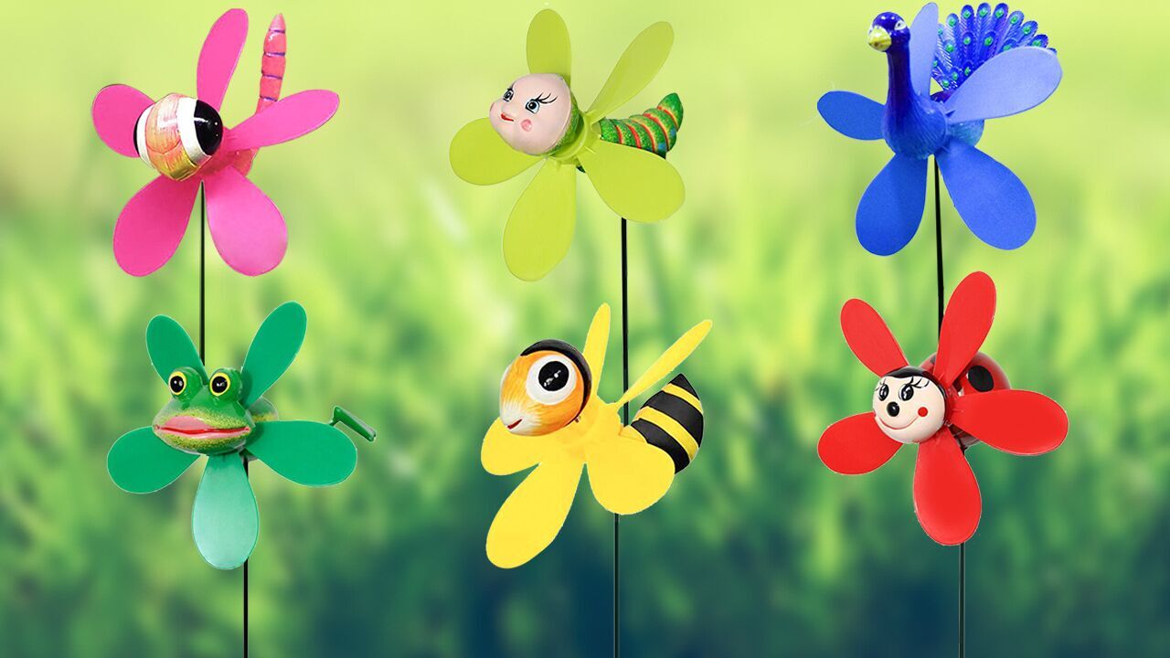 Premier Kites Store 1 Premier Kites Store -Premier Kites Store 61ZpKWkSEPL